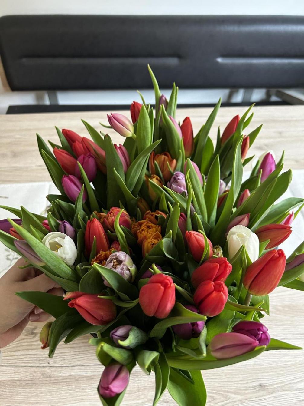 Urheber:in: Gspan Vanessa Tulpen groß